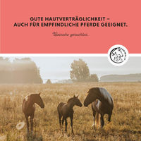 Produktbild von Annimally Insekten Stopp Fliegenspray für Pferde gegen Fliegen, Bremsen und Mücken 785 ml - 750 ml