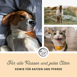 Annimally Lax-Öl Lachsöl für Hund Katze und Pferd kaltgepresst 1 Liter - 1 l – Bild 1 von 2