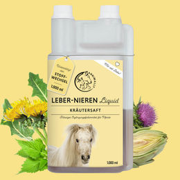 Annimally Leber-Nieren Liquid Kräutersaft für Pferde 1000ml - 1000 ml – Bild 1 von 4