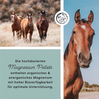 Produktbild von Annimally Magnesium Pellets für Pferde 1 kg Mineralfutter zur Unterstützung von Beruhigung und Immunsystem - 1 kg