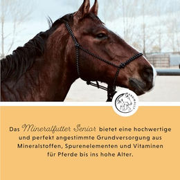 Annimally Mineralfutter Pellets für Pferde mit Vitaminen zur Unterstützung von Gelenken, Knochen und Verdauung 3 kg – Bild 1 von 8
