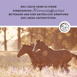 Annimally Mönchspfeffer Liquid für Pferde mit Ashwagandha und Magnesium 1 l - 1000 ml – Bild 1 von 4