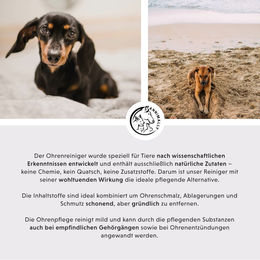 Annimally Ohrenreiniger für Hund, Katze, Pferd und Kleintiere mit Kamille, Ringelblume und Propolis 250 ml - 250 ml – Bild 1 von 3