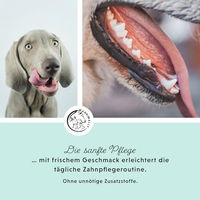 Produktbild von Annimally Oral Vital Dentalspray Zahnpflege für Hunde mit Pfefferminze und Salbei 200 ml - 200 ml