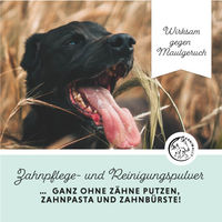 Produktbild von Annimally Oral Vital Zahnpflege Pulver für Hunde 100 g - 100 g