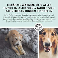 Produktbild von Annimally Oral Vital Zahnpflege Pulver für Hunde 350 g - 350 g