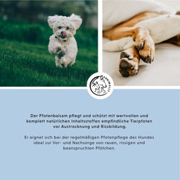 Annimally Pfotenbalsam Pfotenpflege für Hunde und Katzen 50 g - 50 g – Bild 1 von 3