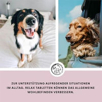 Produktbild von Annimally Relax Beruhigungstabletten für kleine Hunde mit 120 Tabletten
