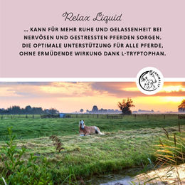 Annimally Relax Liquid Beruhigungssaft für Pferde 1000ml - 1000 ml – Bild 1 von 8