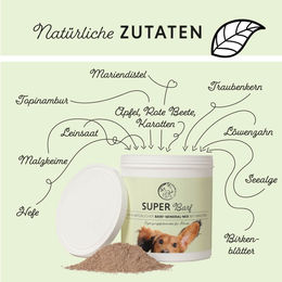 Annimally Super Barf XL Vitamine und Mineralien Barf Nahrungsergänzung für Hunde Pulver 1 kg - 1000 g – Bild 1 von 2