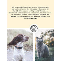 Produktbild von Annimally Vitamin B Komplex für Hunde und Katzen mit L-Tryptophan und Selen 120 Tabletten - 120 Stk.