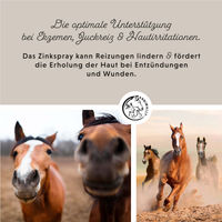 Produktbild von Annimally Zinkspray Plus Wundpflege für Pferde 200 ml - 200 ml