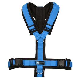 Anny-X Hundegeschirr Mini Brustgeschirr aus Cordura Schwarz-Blau Größe XS – Bild 1 von 3