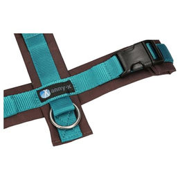 annyx Brustgeschirr Fun für Hunde Kleine Rassen Braun/Türkis Größe S aus Polyester – Bild 1 von 2