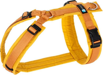 Annyx Brustgeschirr Fun Goldglöckchen für Hunde Größe L aus Cordura in Gold Gelb – Bild 1 von 3