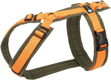 AnnyX Brustgeschirr Fun Hundegeschirr gepolstert aus Nylon in Grün-Orange Größe XS – Bild 1 von 5