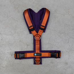 Produktbild von Annyx Brustgeschirr FUN Pflaume Limited Edition Mini XS Lila Bunt