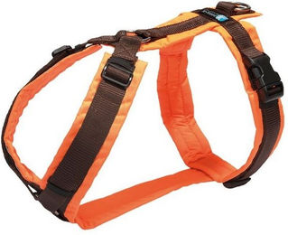 AnnyX Brustgeschirr Protect Sicherheitsgeschirr für Hunde XS Orange Braun – Bild 1 von 13