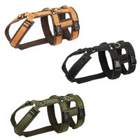 Produktbild von Annyx Brustgeschirr Safety Fun Schwarz Größe S