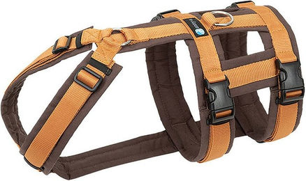 AnnyX Safety Fun Sicherheitsgeschirr für Hunde aus Nylon in Bernstein XS – Bild 1 von 8