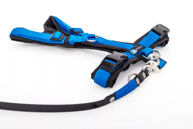 Produktbild von Annyx Set aus Leine und Brustgeschirr Biothane waterproof Schwarz-Blau Größe S für Welpen und kleine Rassen