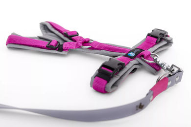 Produktbild von Annyx Set aus Leine und Brustgeschirr für Welpen aus Biothane in Grau-Rosa Größe L waterproof