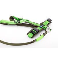 Produktbild von Annyx Set aus Leine und Geschirr aus Biothane für Welpen in Grün Größe L waterproof
