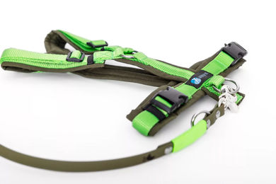Produktbild von Annyx Set aus Leine und Geschirr für Hunde mittlerer Rassen aus Biothane in Grün Größe M waterproof