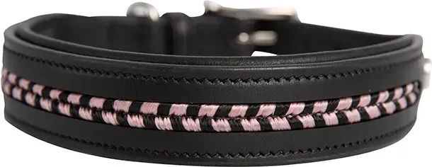 Produktbild von Antarès Hundehalsband aus Leder in Schwarz Größe L