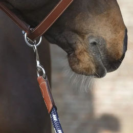 Produktbild von Antarès Longe Reiten aus Leder in Braun