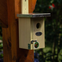 Antikas Meisenkasten aus Naturholz als Vogel-Nisthilfe für Meisen und Zaunkönige – Bild 1 von 3