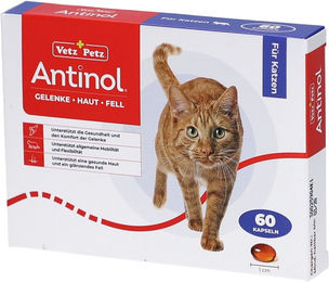 Antinol Kapseln für Katzen zur Unterstützung der Gelenke – Bild 1 von 4