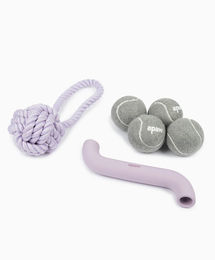 apaw Hundespielzeug PLAY Set zum Apportieren, Zerren und Werfen in Lila – Bild 1 von 1