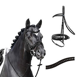 Produktbild von Apollo Passier Trense mit Zügel in Schwarz für Warmblut