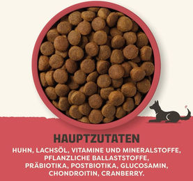 Applaws Hundefutter Adult Große Rassen Huhn mit Lachs und Bierhefe getreidefrei 2 x 12,5 kg – Bild 1 von 1