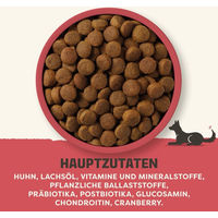 Produktbild von Applaws Hundefutter Adult Große Rassen Huhn mit Lachs und Bierhefe getreidefrei 2 x 12,5 kg