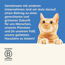 Applaws Katzen Nassfutter Thunfischfilet mit Garnele in Soße Adult 24 x 156g Dosen glutenfrei ohne Zusatzstoffe – Bild 1 von 3