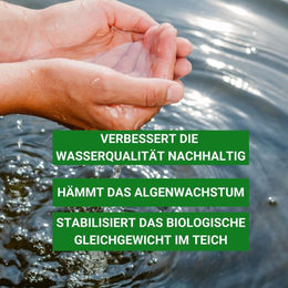Aqua-Cereal Milchsäurebakterien Konzentrat für den Teichfilter 1kg - 1000 ml – Bild 1 von 8
