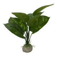Produktbild von Aqua Della Anubias Kunstpflanze für Aquarien Grün 24 cm - 24 cm