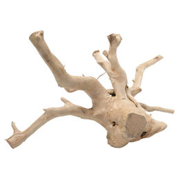 Aqua Della Aquarium Dekoration Driftwood Wurzel braun Größe M – Bild 1 von 2