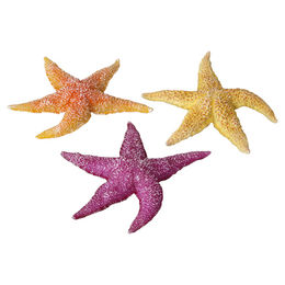 Aqua Della Aquarium Dekoration Real Sea Star unvergänglich für Meerwasser Aquarien – Bild 1 von 4
