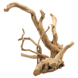 Aqua Della Aquarium Dekoration Wurzel Driftwood poliert braun Größe L – Bild 1 von 2