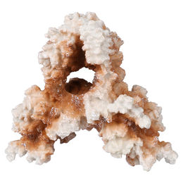 Produktbild von Aqua Della Aquariumdekoration Koralle Beige Größe M für Fische