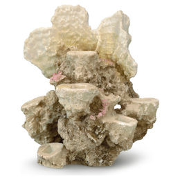 Produktbild von Aqua Della Aquariumdekoration Korallenriff Figur und Höhle in Beige