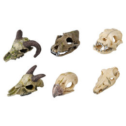 Aqua Della Aquariumdekoration Mini-Schädel Figur und Höhle Beige für Fische – Bild 1 von 2
