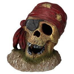 Aqua Della Aquariumdekoration Piraten-Totenkopf mit Augenklappe Figur und Höhle für Zierfische 7x7x8cm – Bild 1 von 3