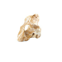 Produktbild von Aqua Della Aquariumdekoration Stein Beige für Fische