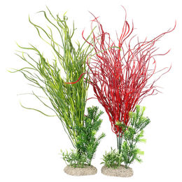 Aqua Della Aquariumpflanze Lily Gras XL 50cm gemischte Farben - 1 Stk. – Bild 1 von 2
