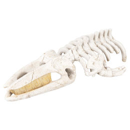 Aqua Della Figur und Höhle für Meerwasserfische beige – Bild 1 von 1