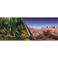 Produktbild von Aqua Della Fotorückwand Dschungel und Wüste für Aquarien 80 x 40 cm